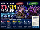 How to solve RTNSTN problem in reef tank