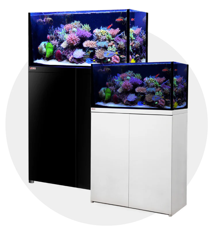 Reef Tanks – Professional Marine & Coral Reef Aquarium Systems
