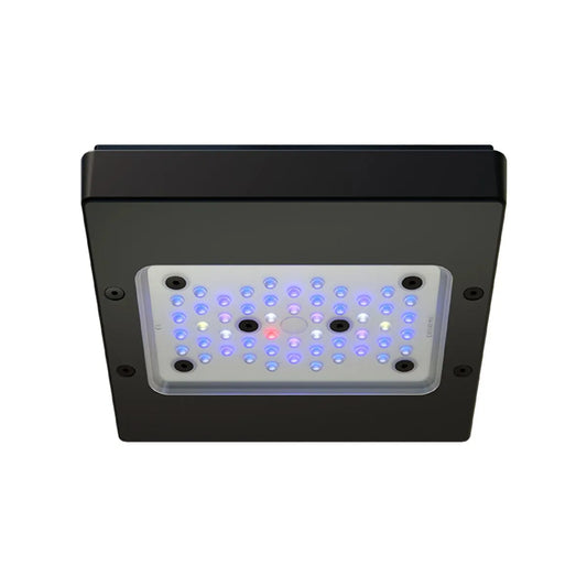 EcoTech Marine - EcoTech Marine - Radion XR15 Blue G6 LED Light - Reefamorous