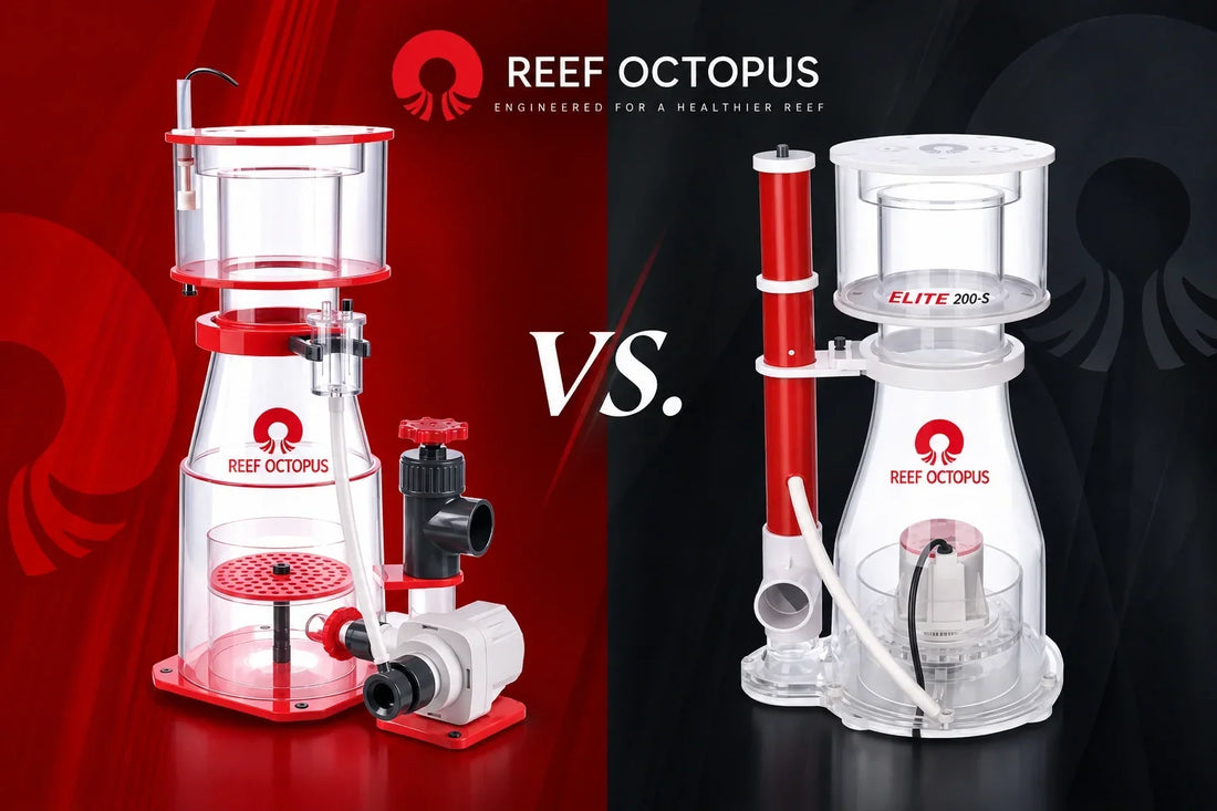 Best Protein Skimmer by Tank Size A Reef Octopus Buyer's Guide