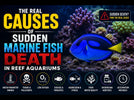 The Real Causes of Sudden Marine Fish Death in Reef Aquariums