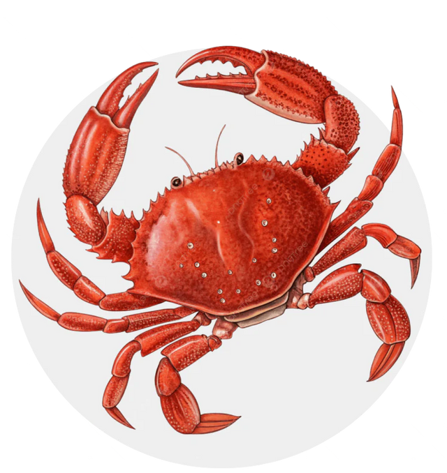 Aquarium Crabs Jordan | Reef Safe Crabs & Clean-Up Crew