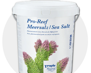 Salt & Maintenance