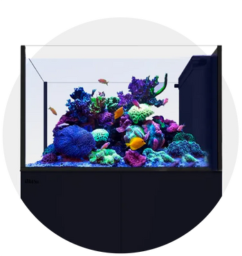 Complete Aquarium Set AIO