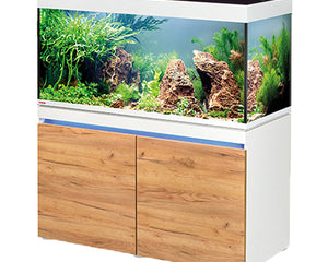 Freshwater Aquariums