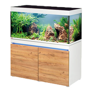 Freshwater Aquariums
