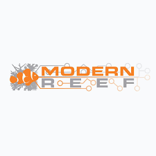 Modern Reef in Jordan - Reefamorous
