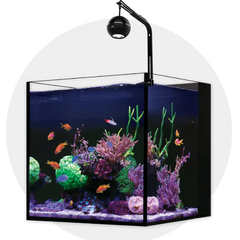 Collection image for: Nano Aquariums