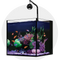 Nano Aquariums