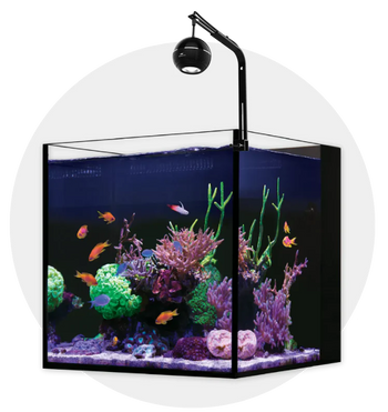 Nano Aquariums