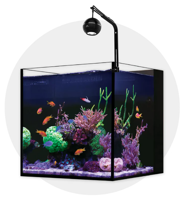 Nano Aquariums