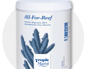 Buy Reef Additives Jordan | Coral Supplements for SPS & LPS