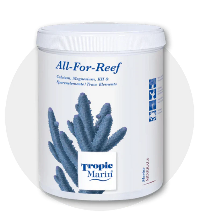 Buy Reef Additives Jordan | Coral Supplements for SPS & LPS
