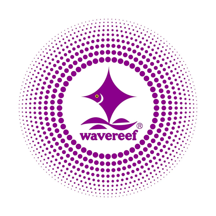 Wavereef in Jordan - Reefamorous