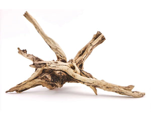 River root wood Decor for aquarium