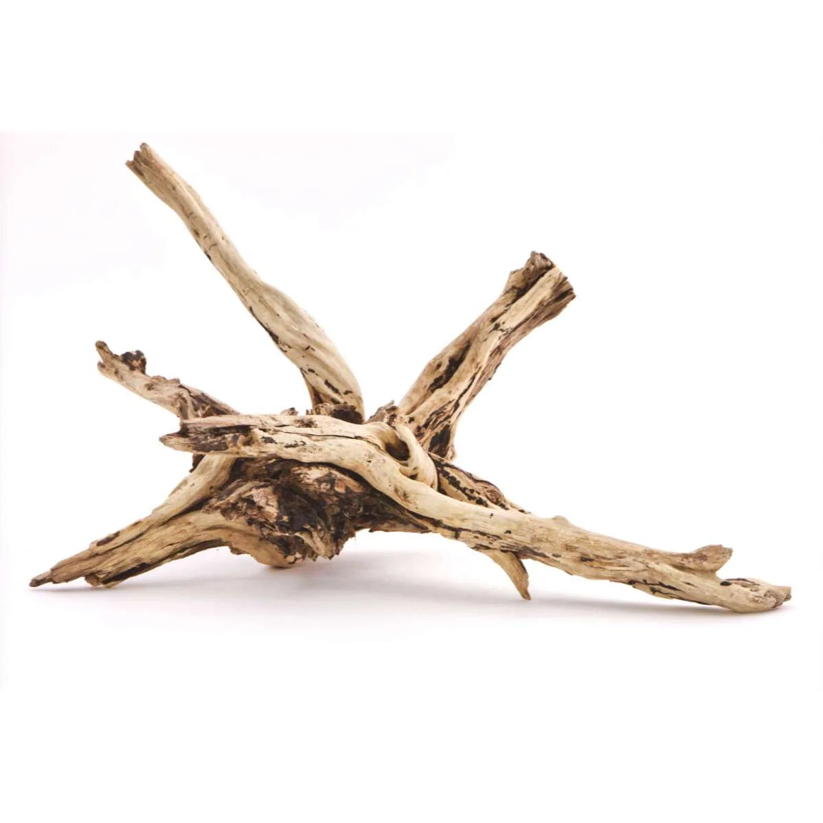 River root wood Decor for aquarium
