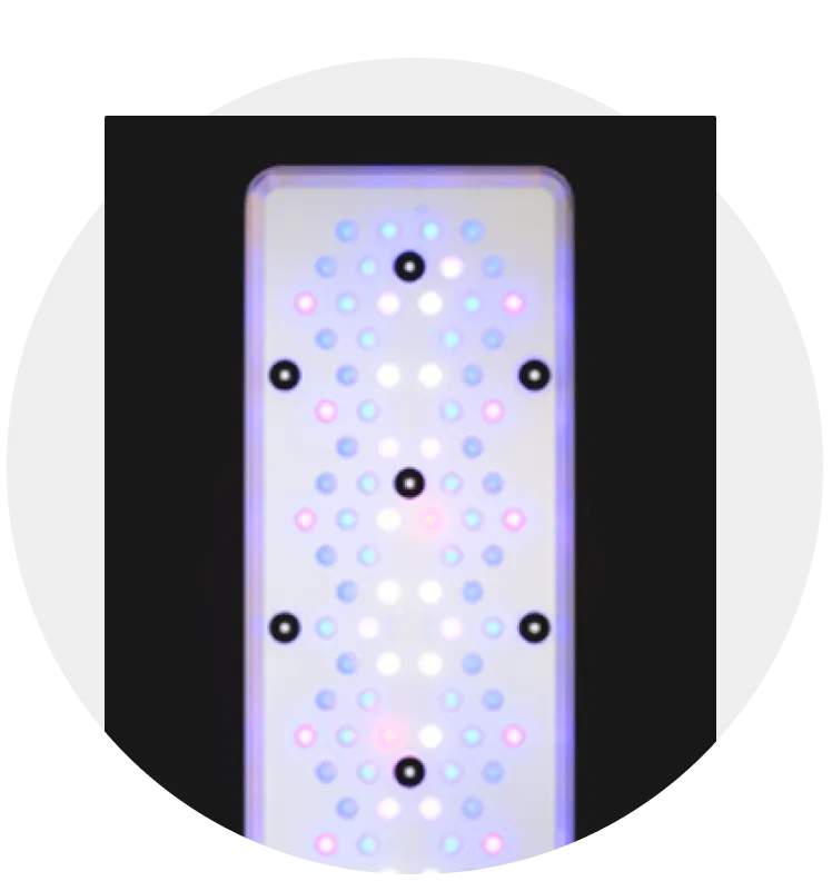 Reef Lighting in Jordan – Best LED Lights for Coral Growth & Color