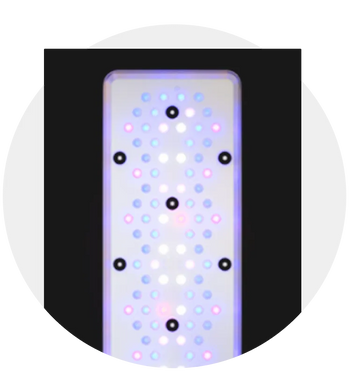 Reef Lighting in Jordan – Best LED Lights for Coral Growth & Color