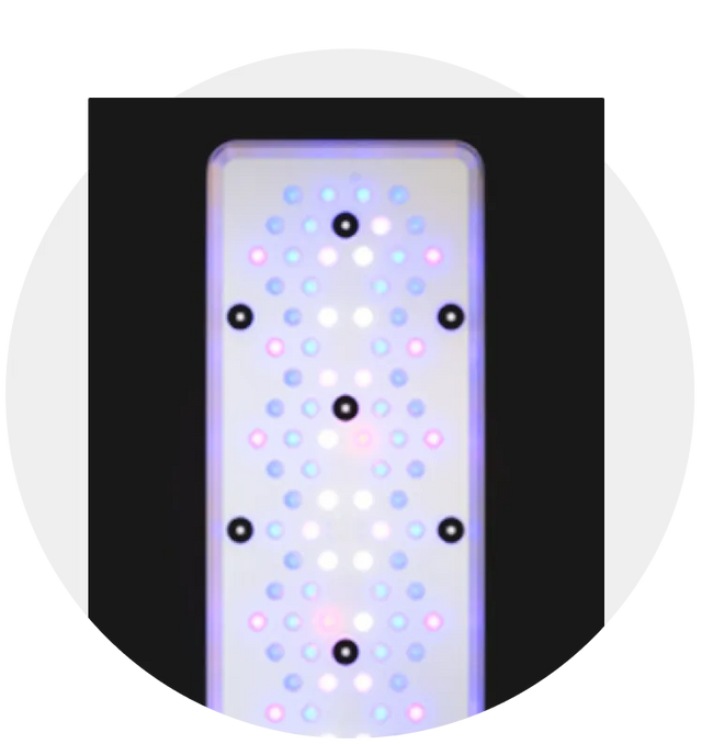 Reef Lighting in Jordan – Best LED Lights for Coral Growth & Color