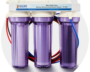 RO/DI System