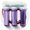 RO/DI System
