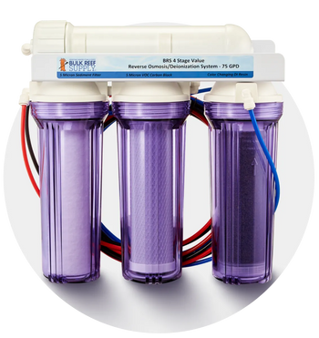RO/DI System