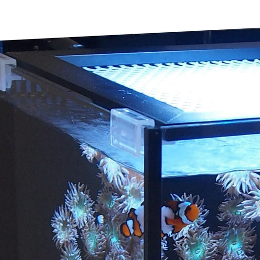 A close-up of a glass aquarium with a black frame, showing a bright white top light, blue water, and clownfish swimming among sea anemones.