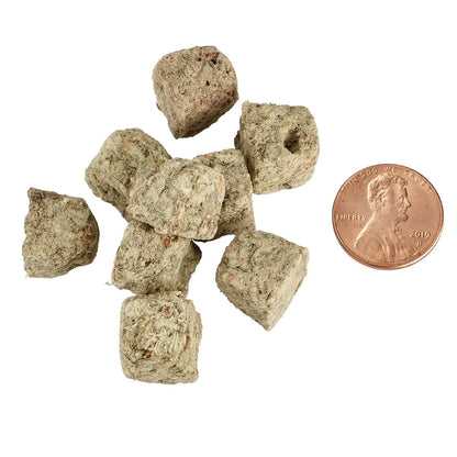 Bulk Reef Supply - Brine Shrimp - Freeze Dried - Reefamorous