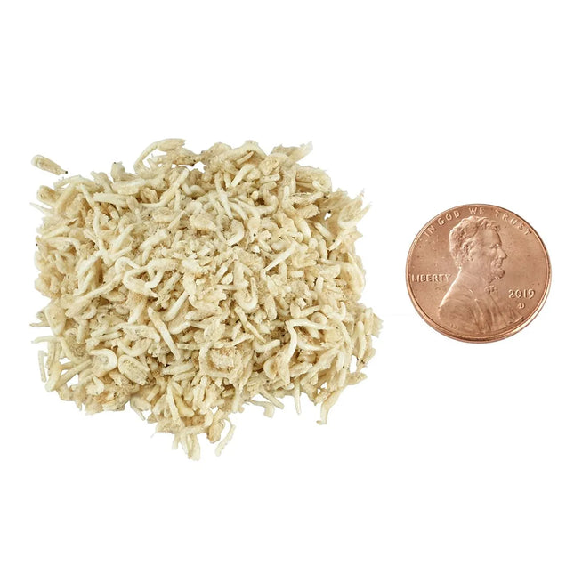 Bulk Reef Supply - Mysis Shrimp - Freeze Dried - Reefamorous