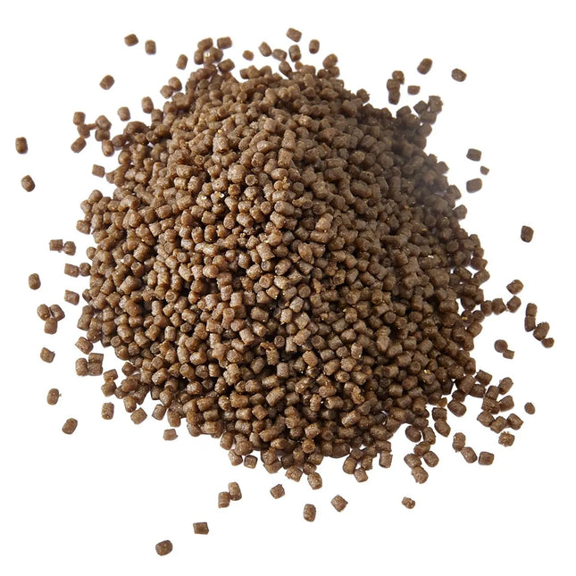 Aquarium Munster - Aquarium Münster - Dr. Bassleer Biofish Food - MATRINE Formula - 60g Large Pellet - Reefamorous
