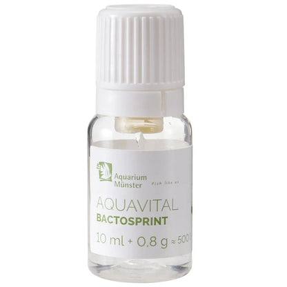 Aquarium Munster - Aquarium Münster - Aquavital Bactosprint for 100 - 500 l - Reefamorous