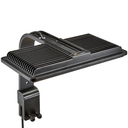 Jump 30W LED Light - Refugium - Maxspect - Reefamorous