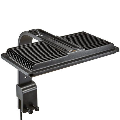 Jump 30W LED Light - Refugium - Maxspect - Reefamorous