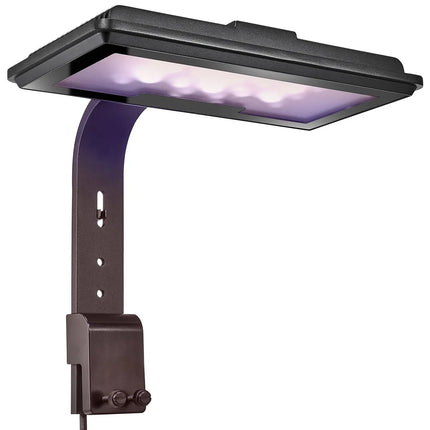 Jump 30W LED Light - Refugium - Maxspect - Reefamorous