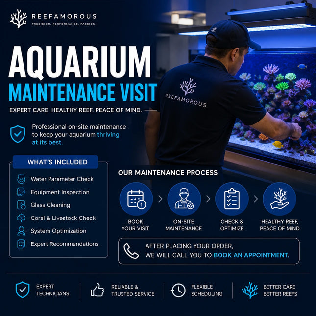 Aquarium Maintenance Visit
