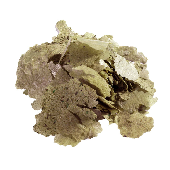 Aquarium Munster - Aquarium Münster - Dr. Bassleer Biofish Food - FLORA Flake Formula - 70g - Reefamorous