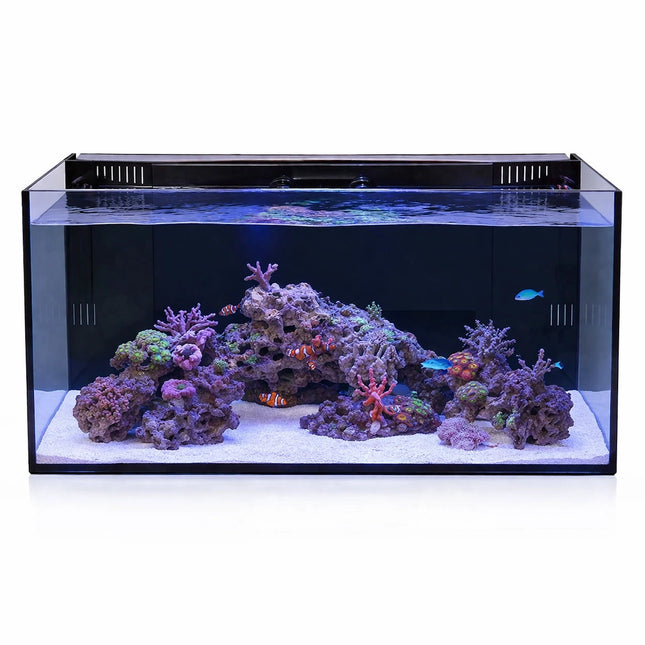 J&Y - J&Y - AQUA+ BF-80 – Back Filter System - Reefamorous
