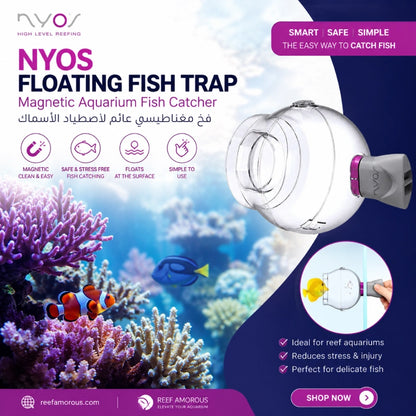 Floating Fish Trap