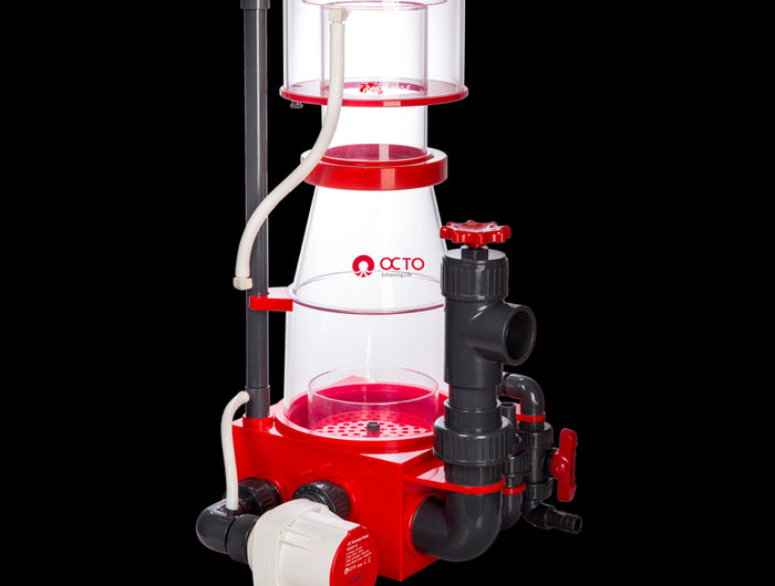 <h1><strong>Reef Octopus</strong></h1>