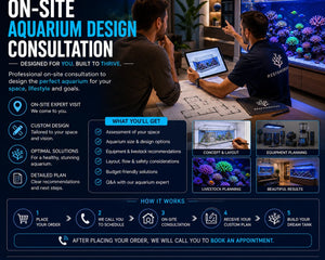 On-Site Aquarium Design Consultation