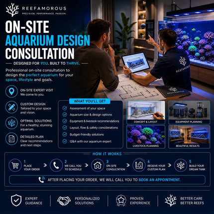 On-Site Aquarium Design Consultation