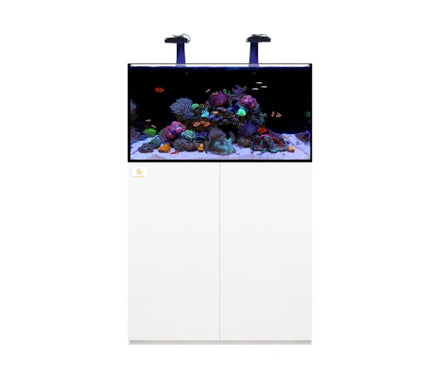 ReefAmorous - ReefAmorous Reef Pro 270 Aquarium 90 cm - Reefamorous