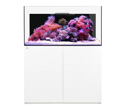 ReefAmorous - ReefAmorous Reef Pro 360 Aquarium 120 cm - Reefamorous