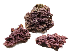 Aquarium Munster - AQUADECOR Jurassic Reef-Rock 25 Kg - Reefamorous