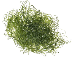 ReefAmorous - Chaeto Spaghetti Algae Chaetomorpha +10 cm Ball - Reefamorous