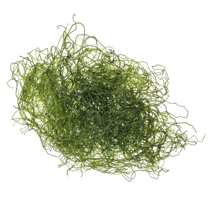 ReefAmorous - Chaeto Spaghetti Algae Chaetomorpha +10 cm Ball - Reefamorous