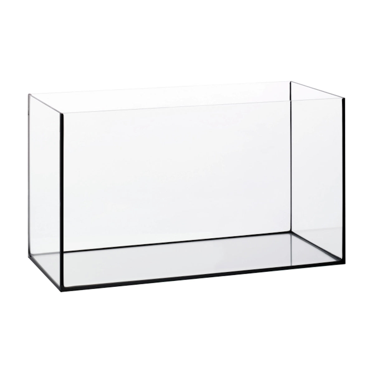 Eheim - EHEIM - Aquarium 60 XL 60x35x40 cm - Reefamorous