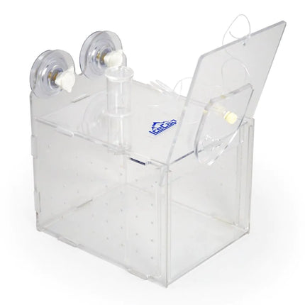 IceCap - Fish Trap 15 x 8 x 9 cm - Reefamorous