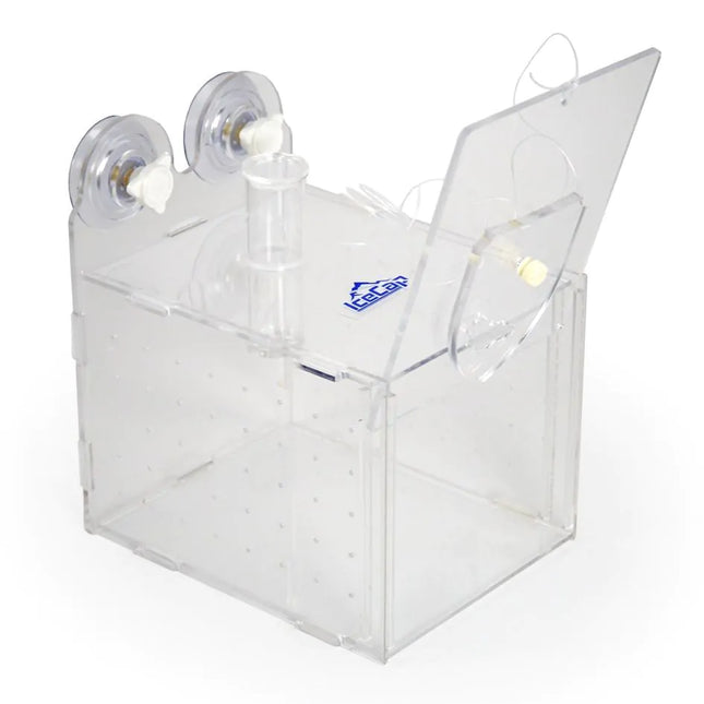 IceCap - Fish Trap 15 x 8 x 9 cm - Reefamorous