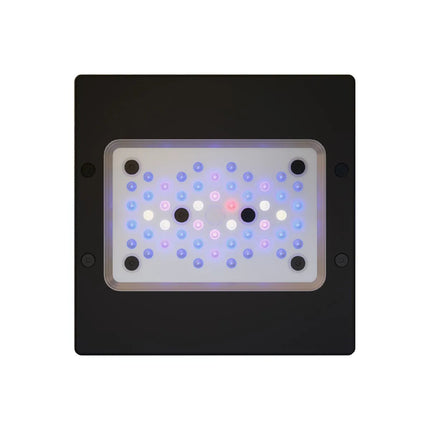 EcoTech Marine - EcoTech Marine - Radion XR15 Blue G6 LED Light - Reefamorous